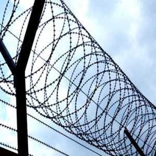 Use Fencing Wire On Your Property Security Use Fencing Wire On Your Property Security